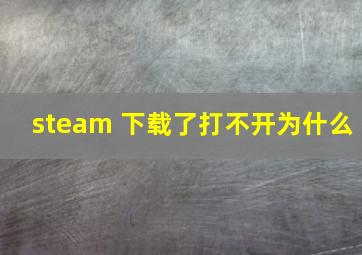 steam 下载了打不开为什么